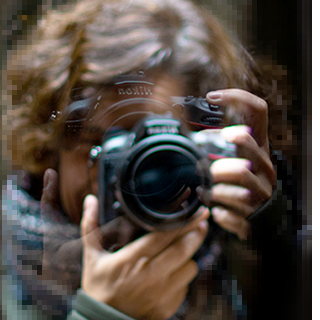 sheilaBO.NET